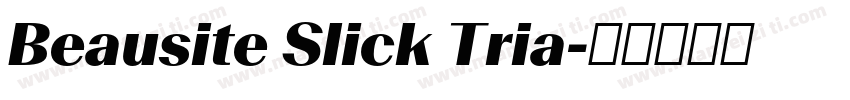 Beausite Slick Tria字体转换